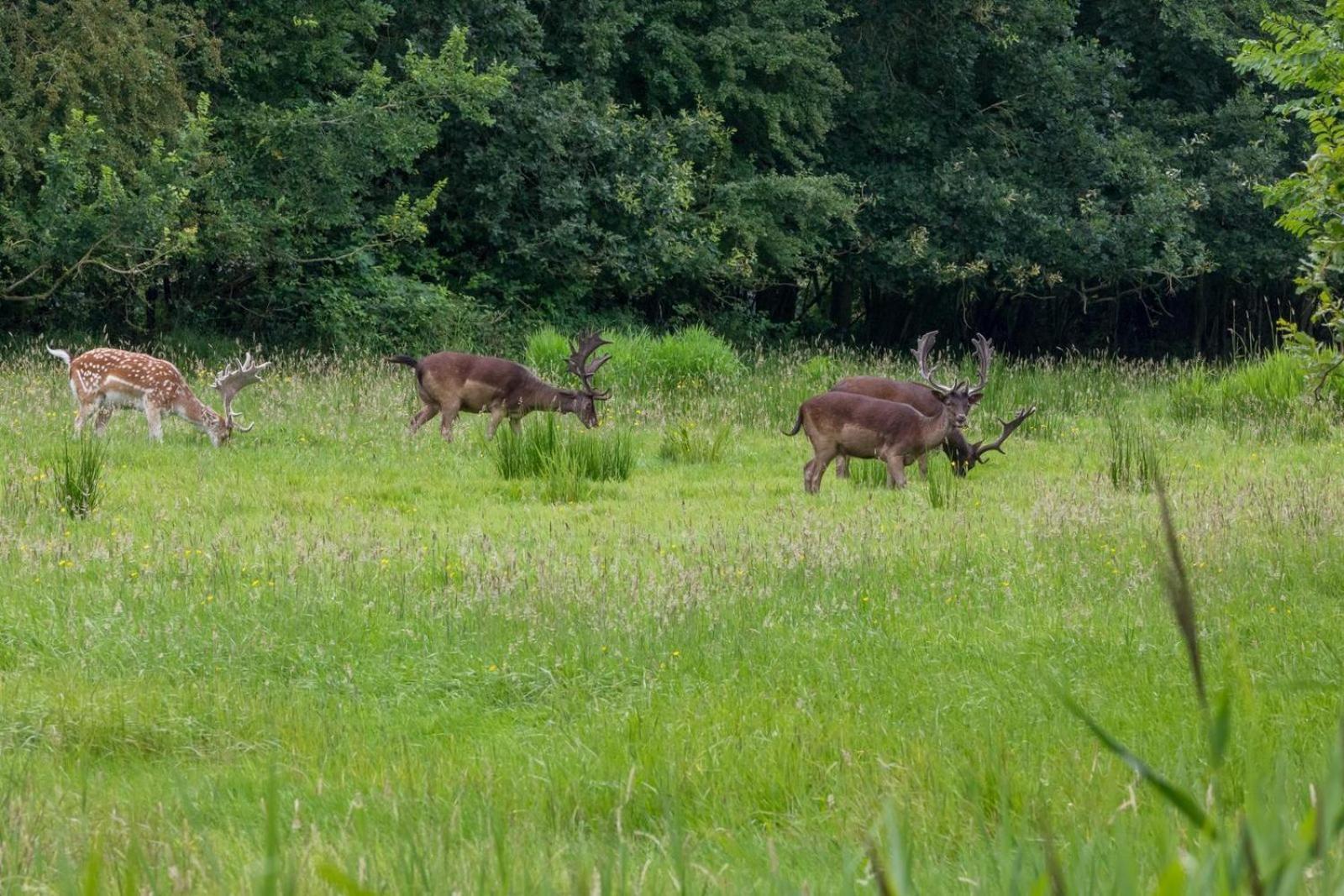 Voor 6 Personen | Hoge Weide 63 | Dicht Bij